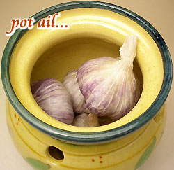 pot ail